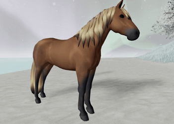 IUH Dusty Fade Connemera Pony